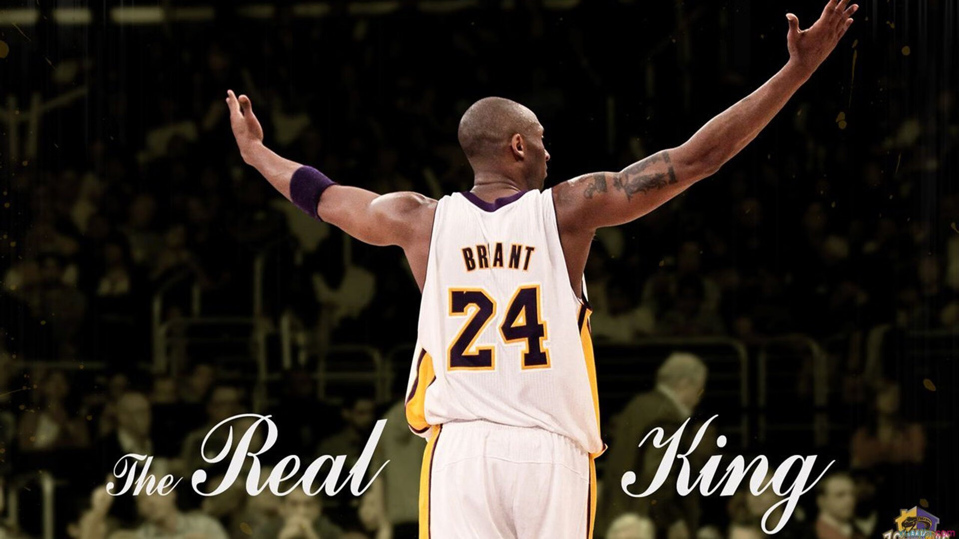 雷速直播-鹈鹕生死战展翅高飞，约基奇跨界F1赛道接管比赛